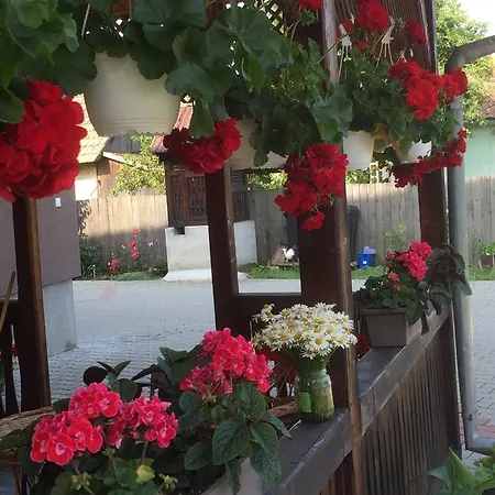 Becze Vanda Kulcsoshaz * Lăzarea